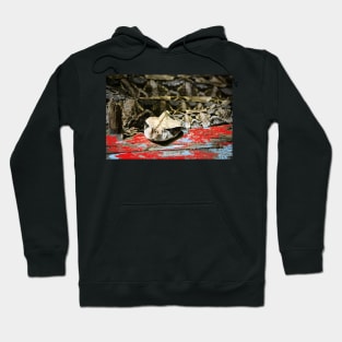 Schlange / Swiss Artwork Photography Hoodie